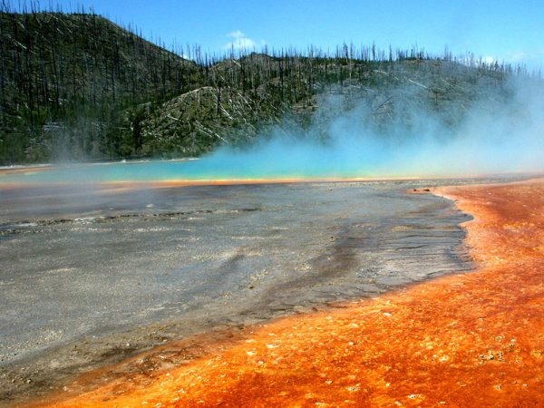 The volcanic hot springs at Yellowstone National Park aren’t just colorful — they are also home to many species of archaea. Credit: Susan Kelly/Montana St. Univ.