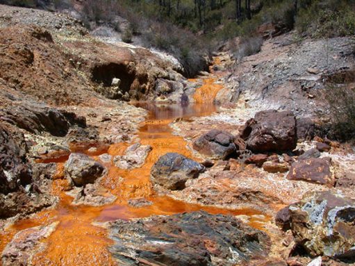 An acid-rich spring gurgling up from the ground in Iron Mountain, Spain. The red color comes from iron dissolved in the water. Such high-acid environments are challenging to most living things, but some archaea thrive in them. Credit: Carol Stoker (NASA Ames Research Center)