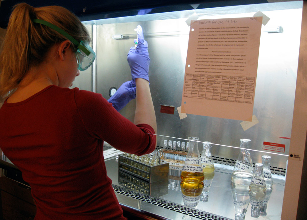 Laurie Rumker adds bacteria to her samples in her school’s laboratory 
