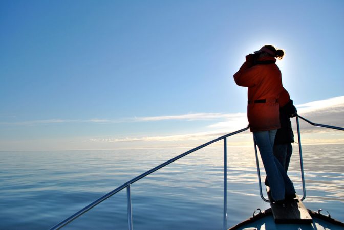 Monica Zani, a biologist with the New England Aquarium, scans the Bay of Fundy for right whales from the bowsprit of the R/V Nereid. Credit: Eric Wagner