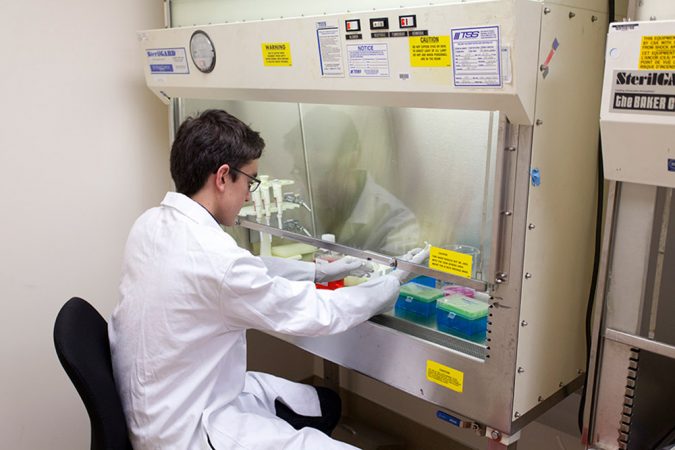 Because the cells that Jack Takahashi works with can easily be infected, he must work with them in the protected environment created by a fume hood. Credit: Mark Orcholski