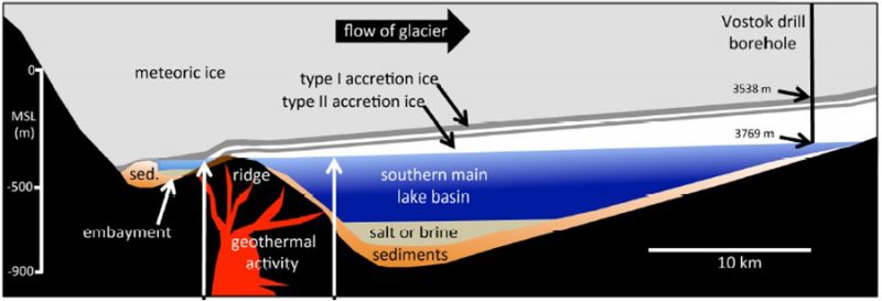 A cross section of Antarctica’s Lake Vostok, capped by a flowing glacier that is 3,700 meters thick. As the glacier moves over the buried lake, water from the lake gradually freezes onto the underside of the ice. Scientists have discovered two types of this so-called “accretion ice.” One type contains a few bits of clay and dirt, and the other appears entirely clean. A team led by Scott Rogers analyzed some of this ice. It found DNA from a wide range of microbes and even animals. Some of these organisms may still live near volcanic hot water (geothermal) vents on one edge of the lake. Lake Vostok sits hundreds of kilometers from the coast of Antarctica. But as the bar on the left shows its bottom is 900 meters below sea level. Credit: S. Rogers, Bowling Green St. Univ.