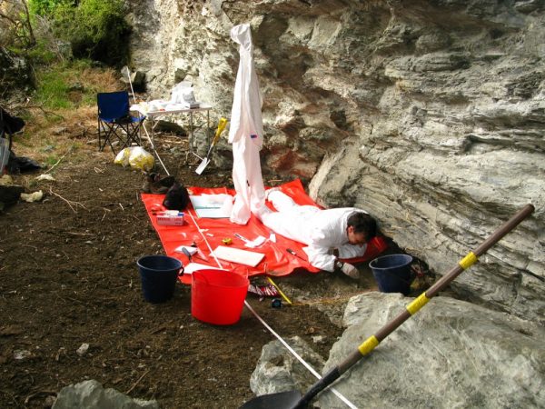 Jamie Wood searches for the fossilized dung of extinct birds called moa in caves and rock shelters in New Zealand. Credit: Janet Wilmshurst