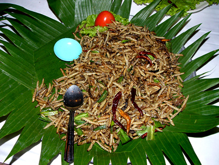 Buffet offering in Thailand of stir-fried grubs with chilis.