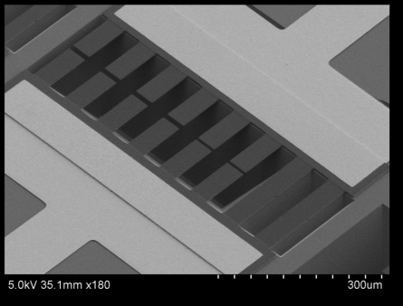 an illustration of a lab-made diamond sensor that detects bacteria in drinking water