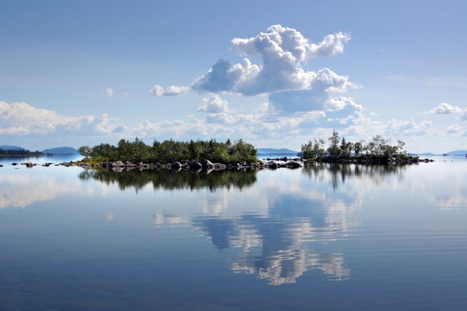 A recent study of forested Swedish islands found that tiny fungi in the soil store most of the carbon found in the forest floor. Credit: Photo courtesy of Karina Clemmensen