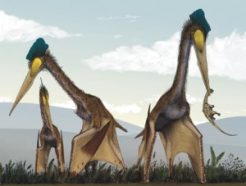 This artist's illustration shows a group of pterosaurs (specifically Quetzalcoatlus northropi. which new work suggests may have been able to fly 10,000 miles without stopping.