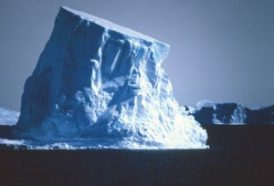 Off the coast of Antarctica, icebergs come in all shapes and sizes. They may be miles across, and they often extend deep underwater.