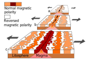 magnetic stripes