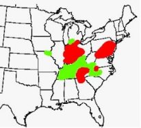 The red and green areas show where in the United States that 17-year cicadas are set to emerge this year.