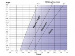 Charting your body mass index