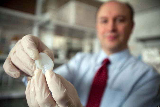 Researchers at Cornell University printed an ear out of collagen, creating a scaffold. Eventually cartilage grew on the 3-D printed scaffold, forming an otherwise real ear. Credit: Lindsay France/Cornell University Photography