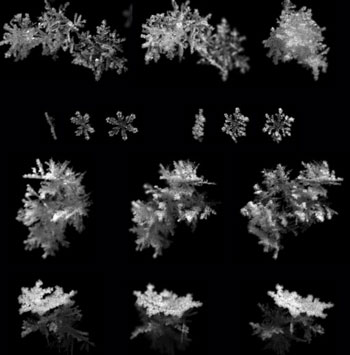 snowflakes