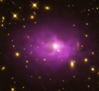 Astronomers have recently found black holes so big they fall into an entirely new category: ultramassive. This image shows the center of the galaxy cluster PKS 0745-19. The ultramassive black hole at its center produces outbursts that create cavities in the clouds of hot gas, shown in purple, that surround it. Credit: X-ray: NASA/CXC/Stanford/Hlavacek-Larrondo, J. et al; Optical: NASA/STScI; Radio: NSF/NRAO/VLA