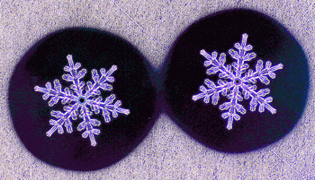 two identical snowflakes