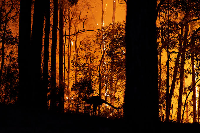 Gosper's Mountain Fire