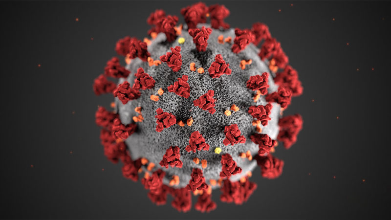 Coronavirus illustration