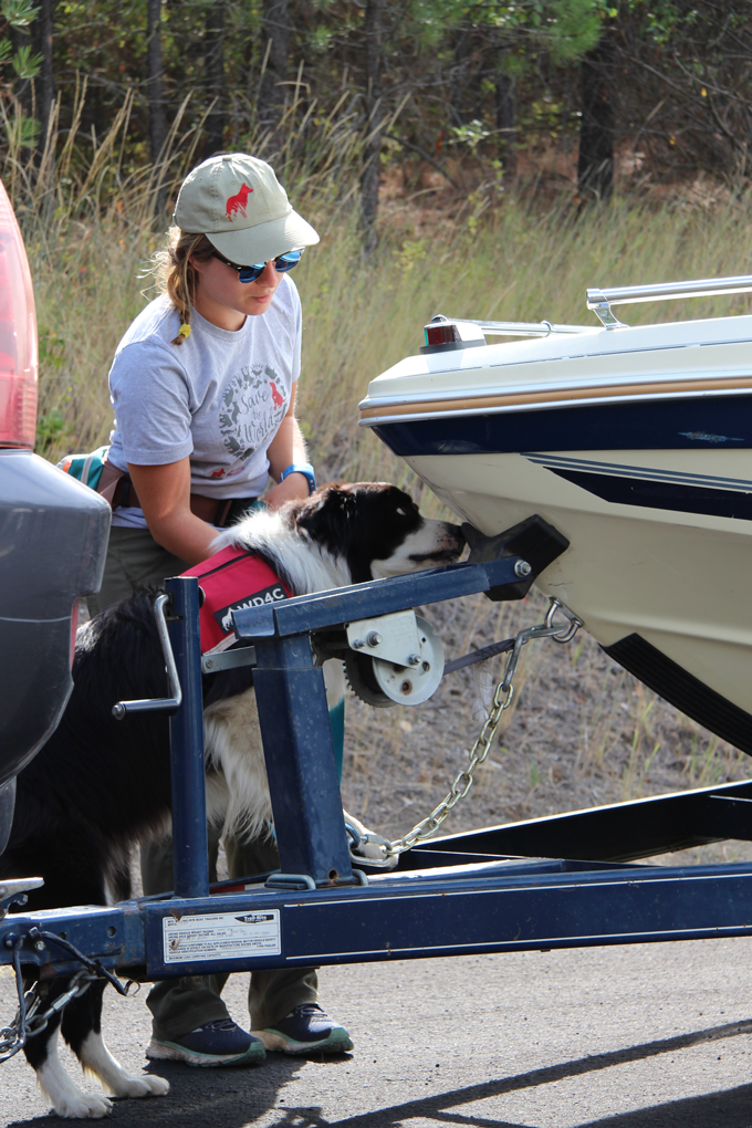 mussel-sniffing dog