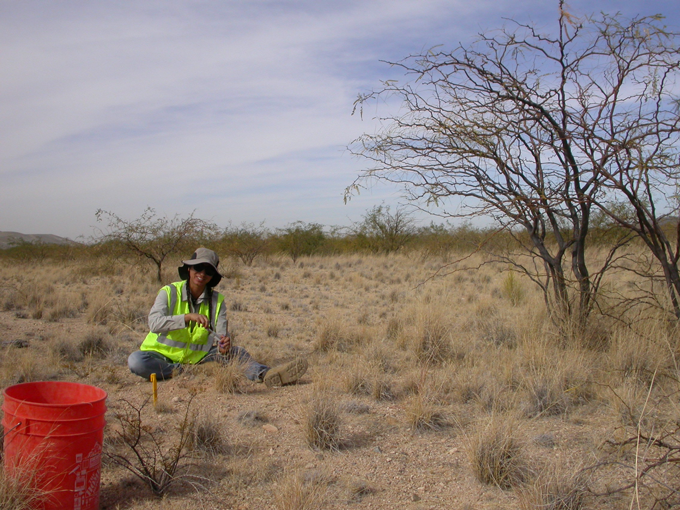 Lydia Jennings doing fieldwork