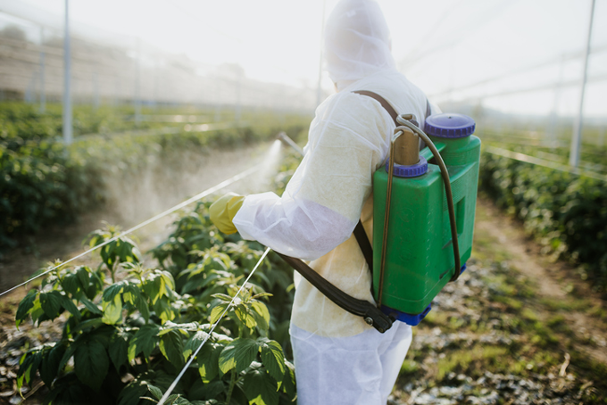 pesticide spraying