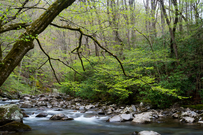 Appalachia stream
