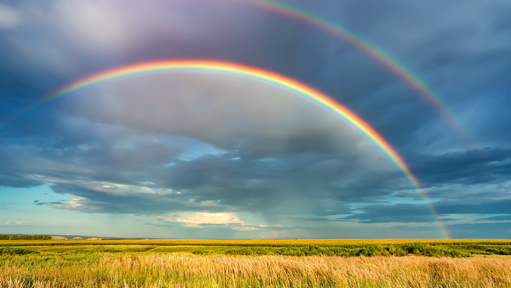 Explainer: Rainbows, fogbows and their eerie cousins | Science News for  Students