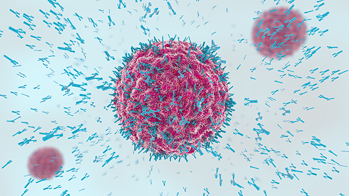 Artist’s rendering of antibodies (blue) attacking viruses (red) in the body.