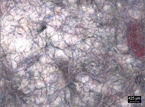 a microscopic image showing clothing microfibers