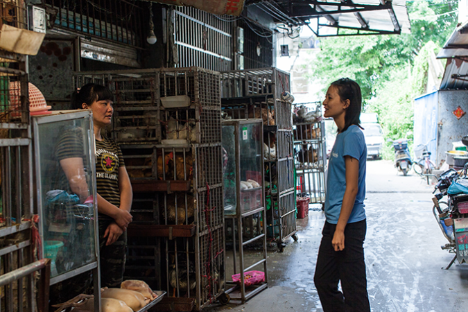 Hongying Li. a Chinese researcher, visits an animal market