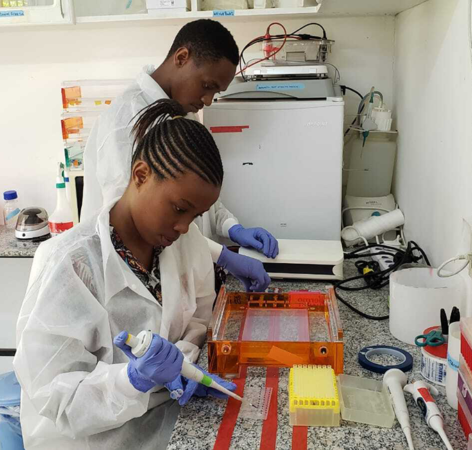 scientists doing labwork