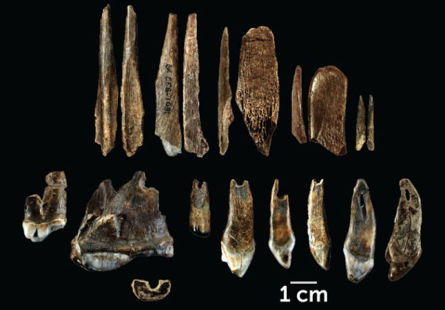 photo of ancient tools and pendants