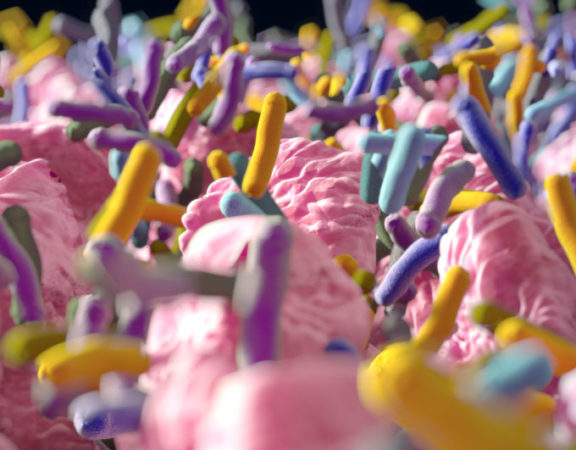 artist's portrayal of microbes in our digestive tract
