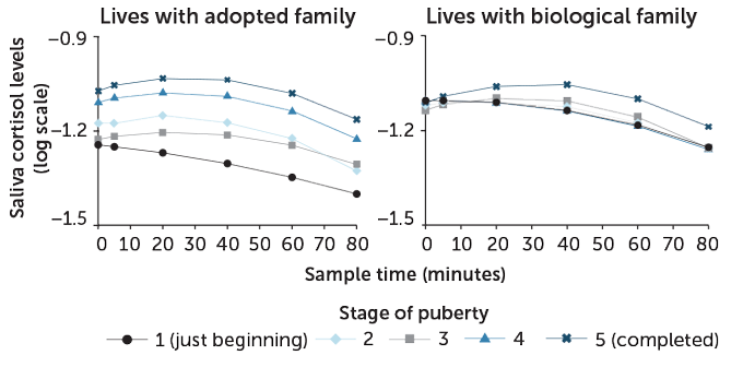 stress responses in adopted children and children living with their biological families throughout puberty