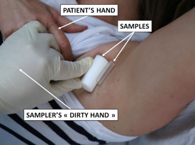 diagram showing how researchers collected armpit sweat