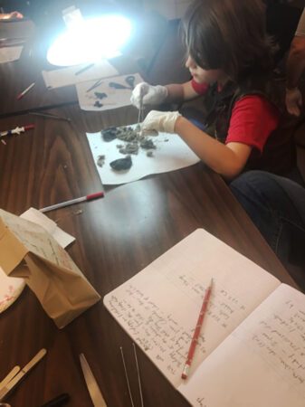 a photo of a kid dissecting coyote scat
