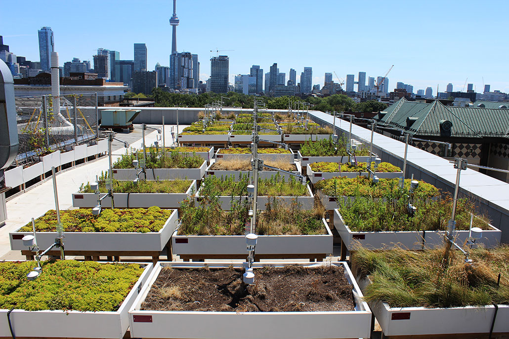 a photo of rooftop gardens