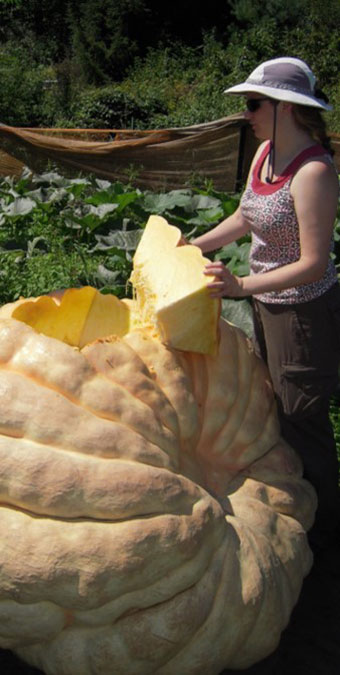 Jessica Savage holding a giant pumpkin slice