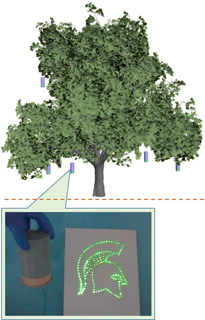 a diagram showing tree sensors and a sensor powered light outline