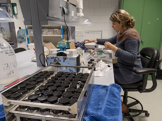 Susanne Kühn in the lab extracting plastic additives from oil