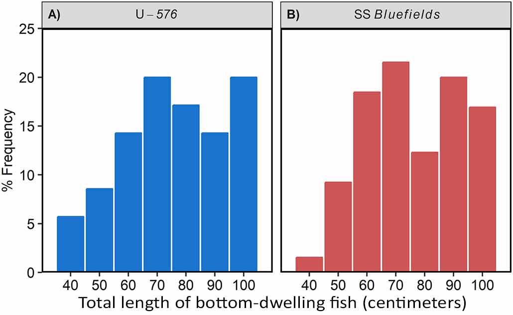 shipwreck histogram