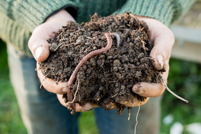 a handful of dir with an earthworm sticking out