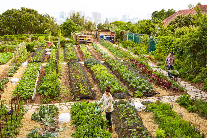 an overhead shot of an urban garden