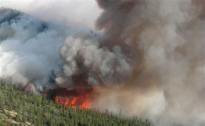 a photo of an Alaskan wildfire