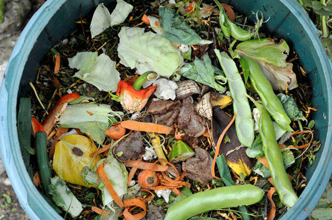 a bucket of compost