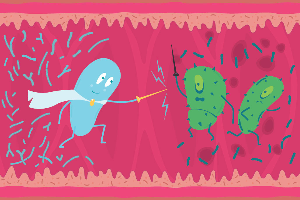 a cartoon illustration of good and bad bacteria