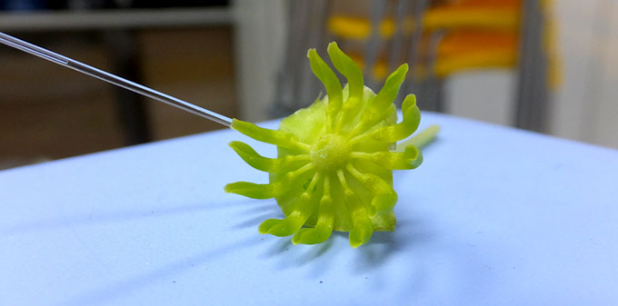 a photo of nectar being extracted from a flower