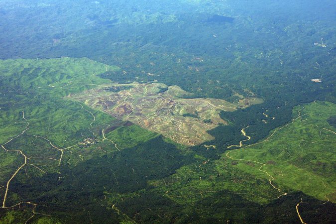 an aerial photo of rainforest destruction in Indonesia