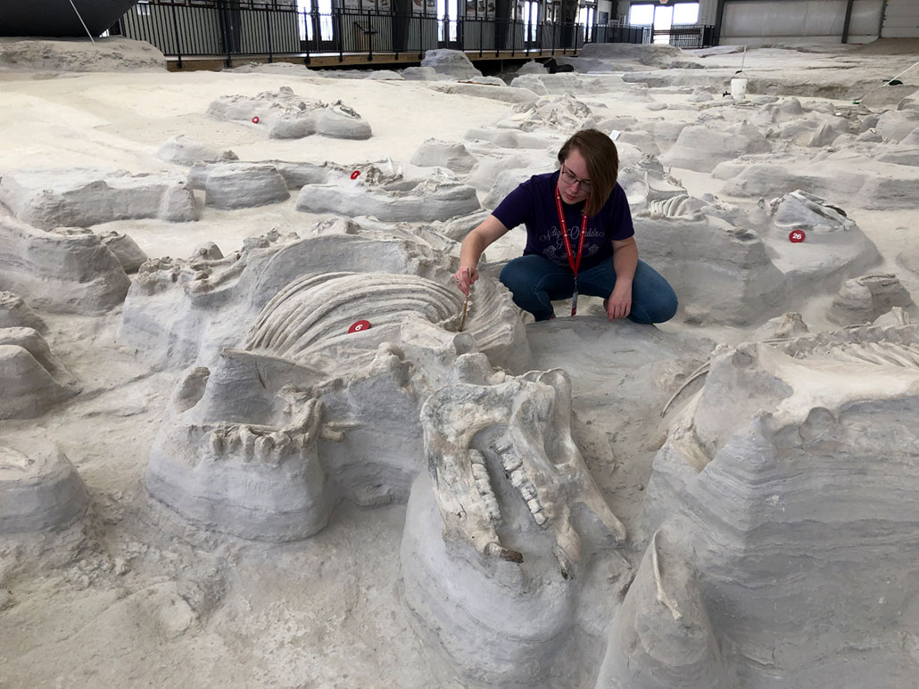 a person brushing ash off a fossil skeleton