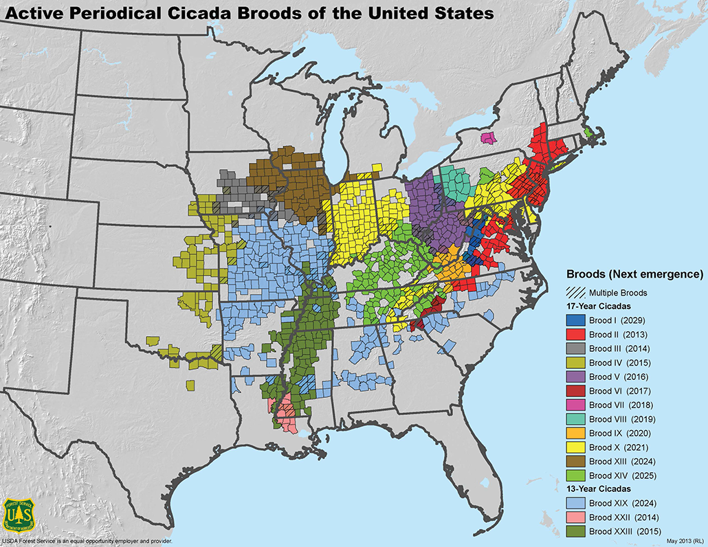 a map showing 15 different broods of periodical cicadas and their emergent years