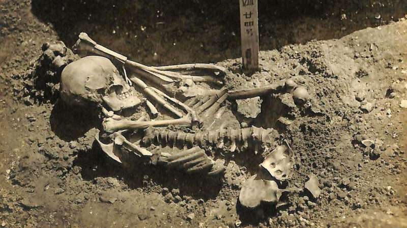 partially excavated skeleton of oldest known victim of a shark bite